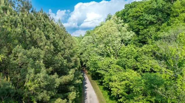 Cedar Creek - Tennessee Land For Sale