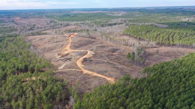Fairview Hills - Alabama (sold out)