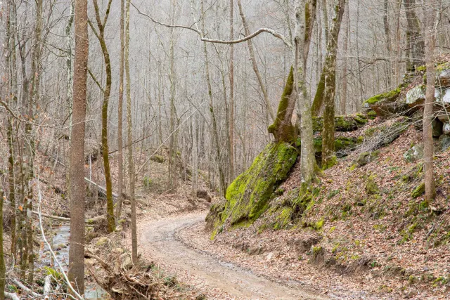 Blackstone Mountain - Kentucky Land For Sale
