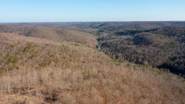Creek Hollow Phase I