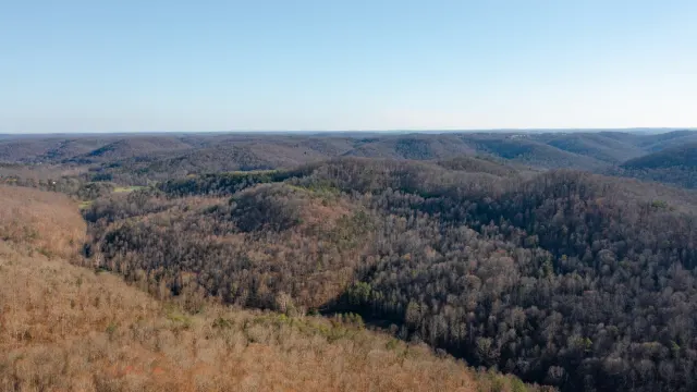 Creek Hollow - Kentucky Land For Sale