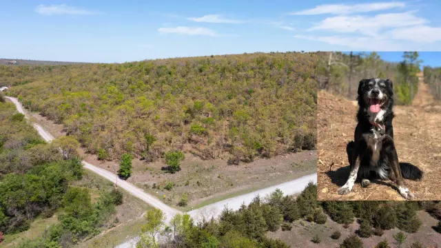 Allie’s Acres - Oklahoma Land For Sale