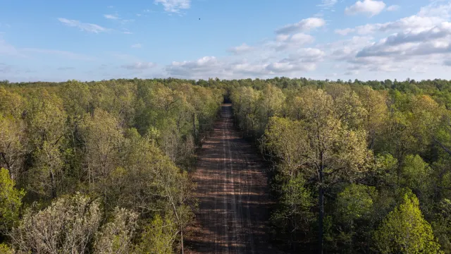 Autumnwood - Arkansas Land For Sale