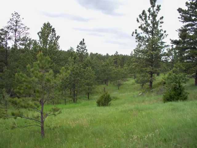 Musselshell County - Montana (sold out)