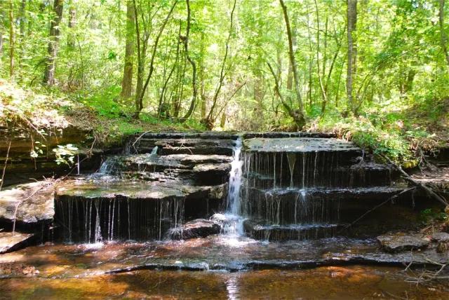 Sugartree Falls - Tennessee Land For Sale