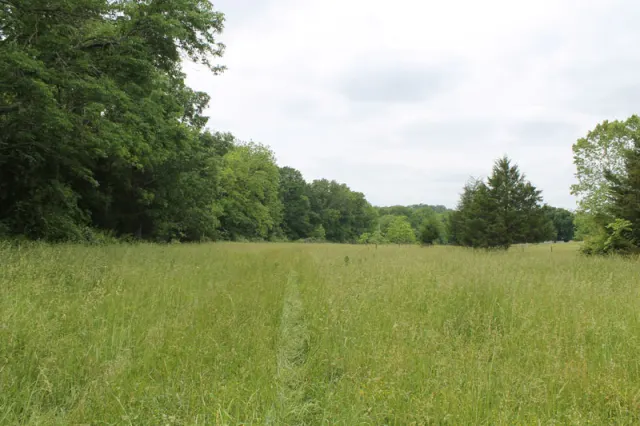 Cedar Ridge Ranch - Missouri Land For Sale