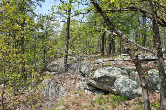 Kiamichi Wilderness - Oklahoma (sold out)