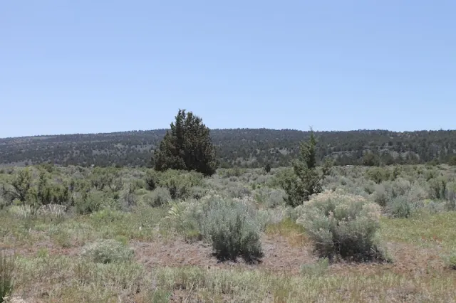 Moon Valley Ranch - California Land For Sale