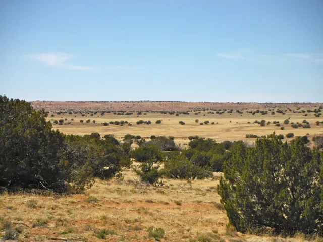 Navajo Ranch - Arizona (sold out)
