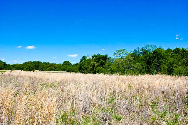Saddlebrook Ranch - Oklahoma (sold out)