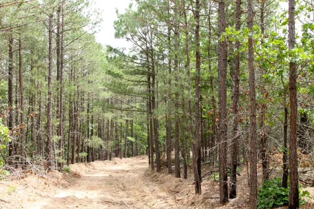 Trophy Ridge Phase I