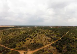 Brazos Ranch photo 6