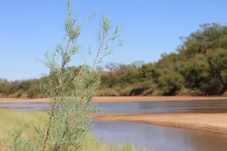 Brazos Ranch photo 14