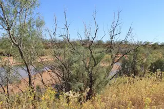 Brazos Ranch photo 13