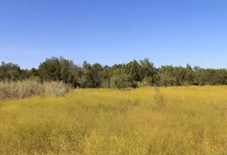 Brazos Ranch photo 20