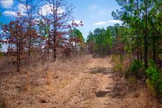 Stone Creek photo 15