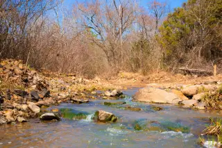 Stone Creek photo 22