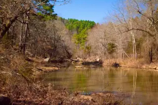 Stone Creek photo 12