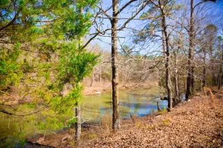 Stone Creek photo 4