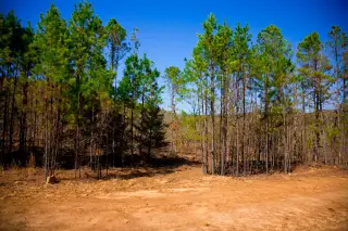 Stone Creek photo 9
