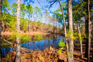 Stone Creek photo 2