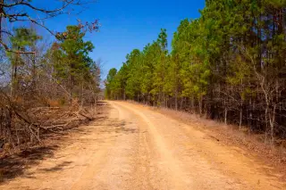 Stone Creek photo 6