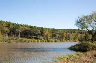 Stone Creek photo 14