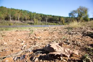 Stone Creek photo 33