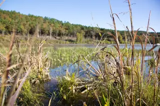 Stone Creek photo 7