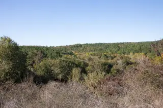 Stone Creek photo 30