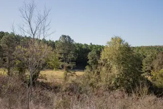 Stone Creek photo 23