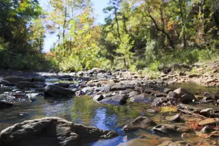 Stone Creek photo 10