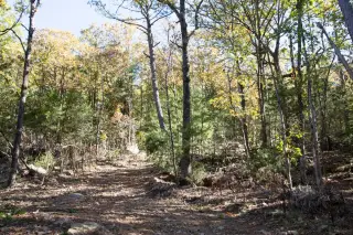 Stone Creek photo 27