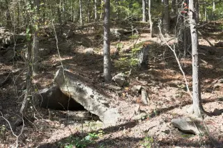 Stone Creek photo 28