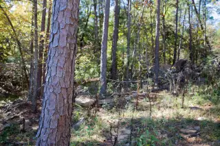 Stone Creek photo 17
