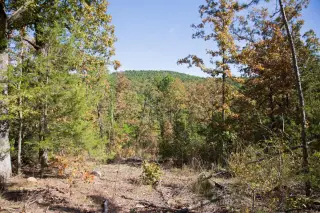 Stone Creek photo 36