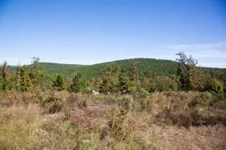 Stone Creek photo 25