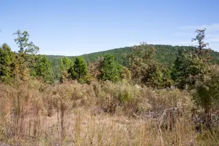 Stone Creek photo 19