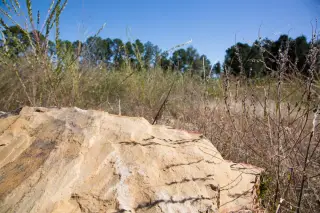 Stone Creek photo 20