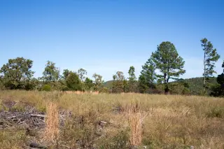 Stone Creek photo 3