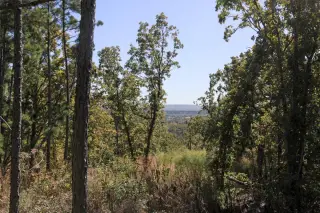Stone Creek photo 31