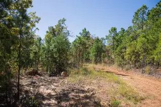 Stone Creek photo 13