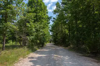 Borgmann’s Hollow photo 10
