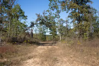 Borgmann’s Hollow photo 29