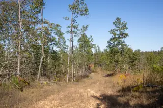 Borgmann’s Hollow photo 14
