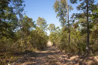 Borgmann’s Hollow photo 1