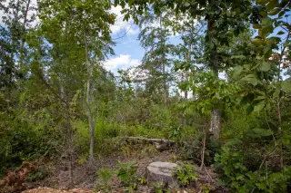 Borgmann’s Hollow photo 20