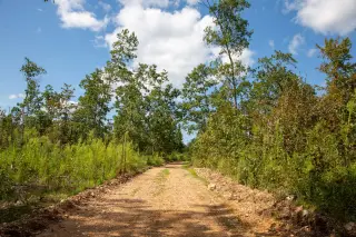 Borgmann’s Hollow photo 17