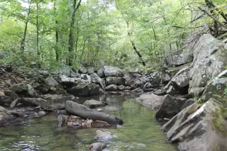 Trophy Ridge photo 2